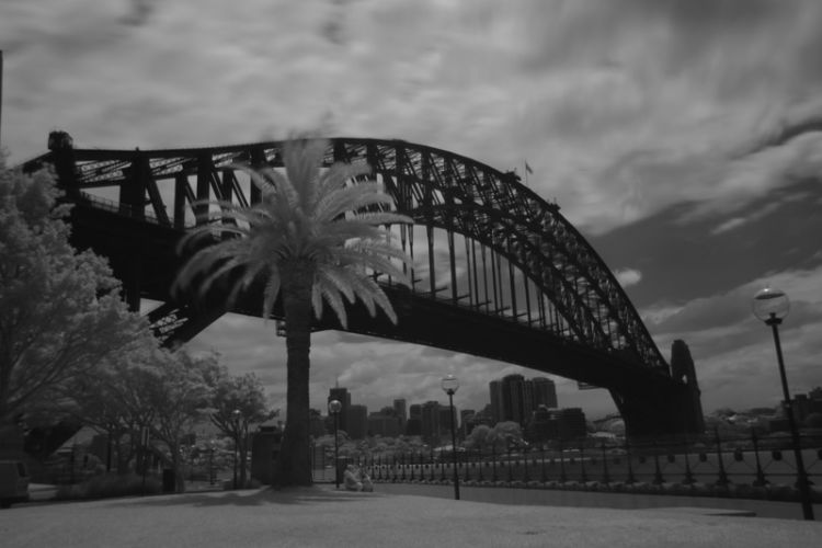 Harbour bridge